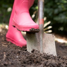 Woman digging in garden