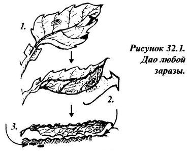 lek_32_1