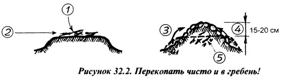 lek_32_2