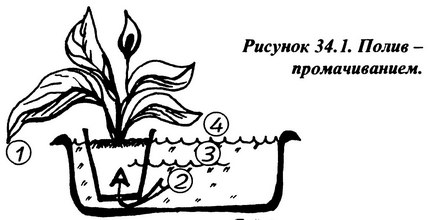 lek_34_1