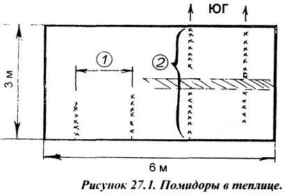 lek_27_1