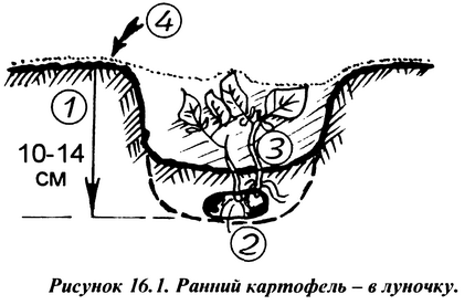 stepnov_l16_1