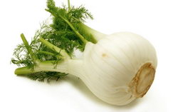 fenchel