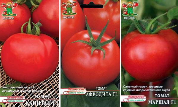 tomat_001