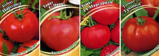 tomat_003