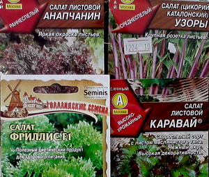 05_салат